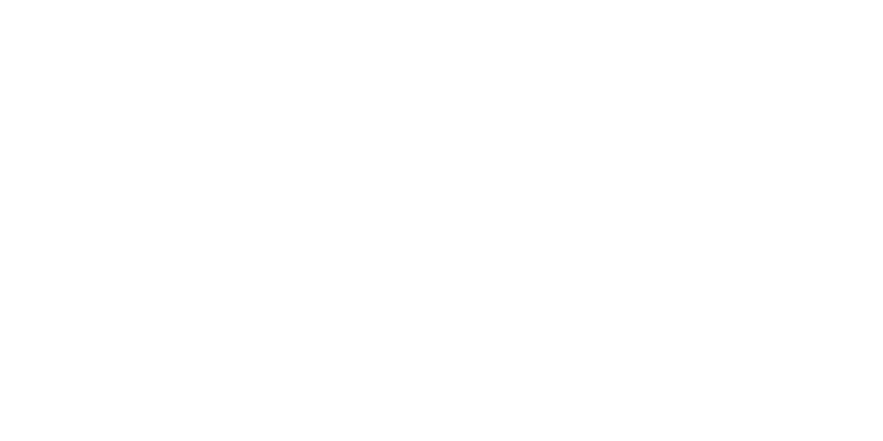 Magnet Sineklik