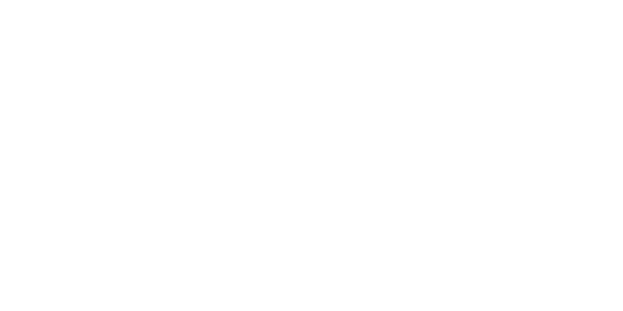STC Duş