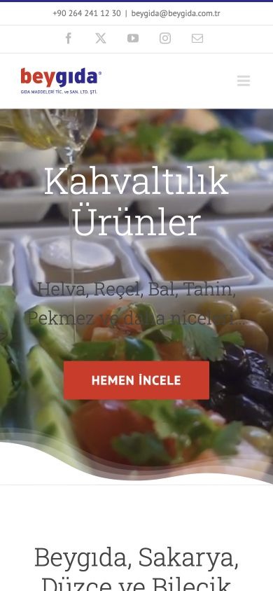 Bey Gıda web sitesinin mobil ekran görünümü.