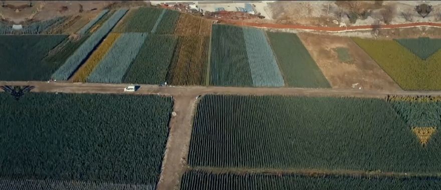 Tanıtım filminden tarım alanlarının hava görüntüsü