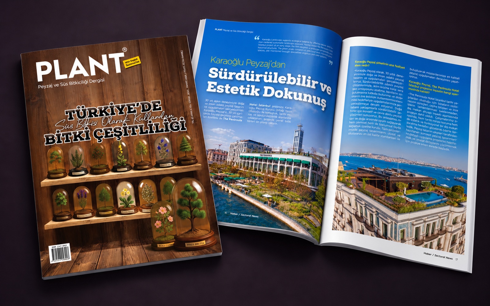 PLANT Dergisi Tasarımı